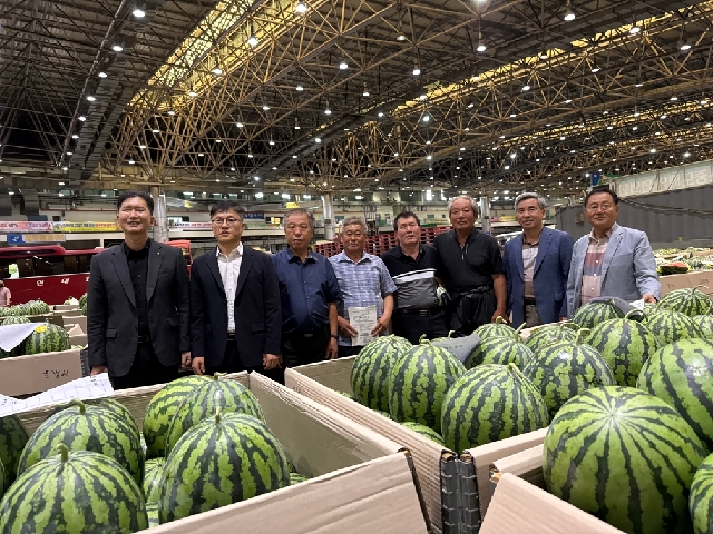 양구군농협, 서부청과 초매식  대표 이미지