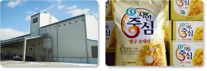 미곡종합처리장