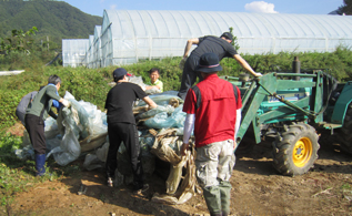 농촌일손돕기 봉사활동